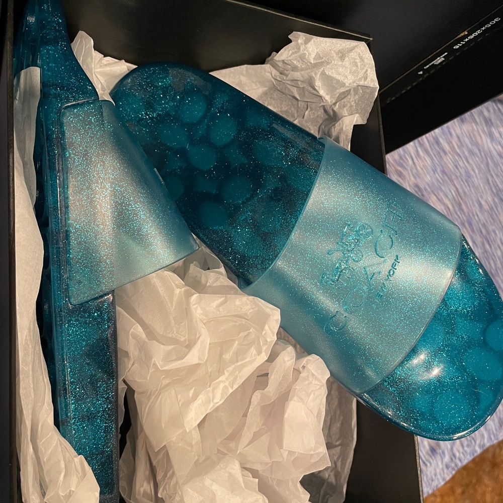Coach Teal Glitter Slides
